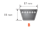 B