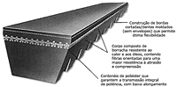 Fracionaria