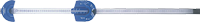 reguaparacorreia